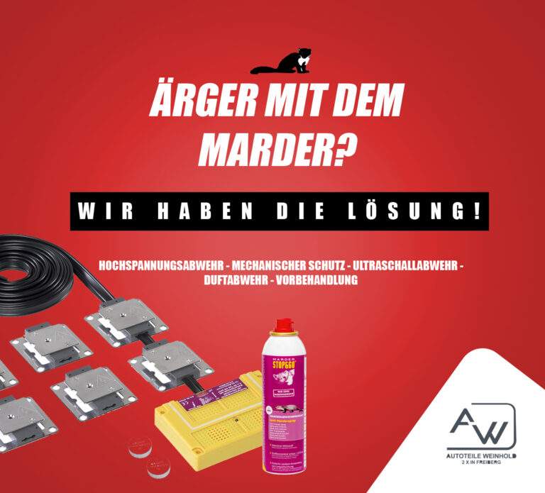 Read more about the article Ärger mit dem Marder?